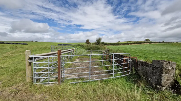 Photo of 27acres of Land, Cortoon, Tuam, Co. Galway