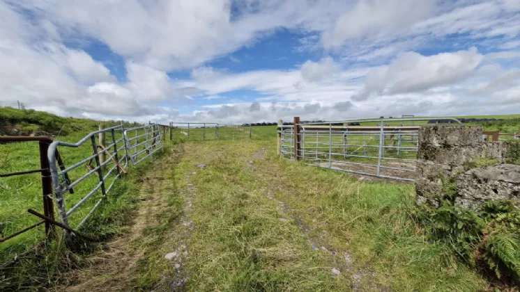 Photo of 27acres of Land, Cortoon, Tuam, Co. Galway