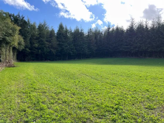 Photo of 6-Bed On 3 Acres, Togher Road, Fennor, Urlingford Via Thurles, Co. Tipperary, E41 F8C7