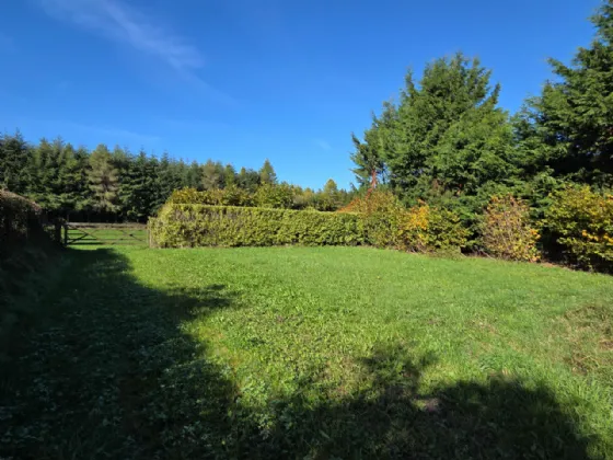 Photo of 6-Bed On 3 Acres, Togher Road, Fennor, Urlingford Via Thurles, Co. Tipperary, E41 F8C7