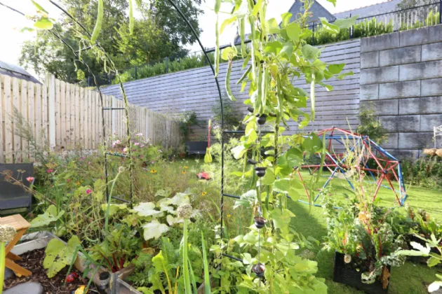 Photo of 3 Termon River, Termonfeckin, Co Louth, A92 F7XH