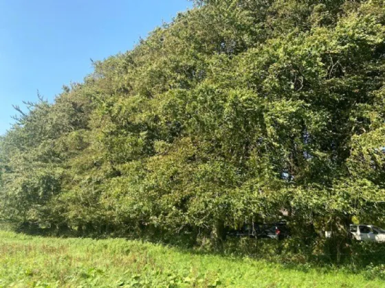 Photo of Ballagh Cross, Donadea, Co Kildare