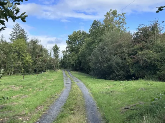 Photo of Monagee, Camus, Cashel, Tipperary, E25F437