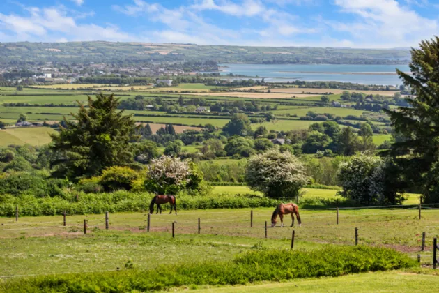Photo of Hillside (On 5.4 Acres.), Glenbeg, Dungarvan, Co Waterford, X35 D732