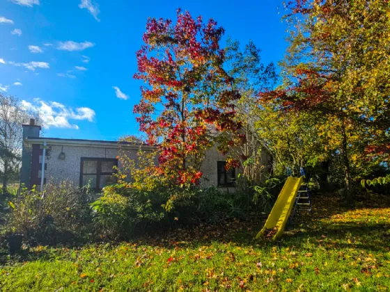 Photo of Culvin, Streete, Co. Westmeath, N91 YP27