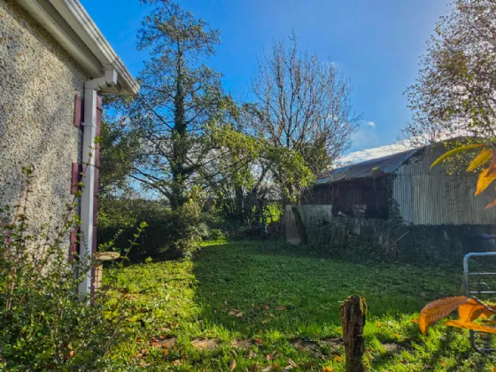 Photo of Culvin, Streete, Co. Westmeath, N91 YP27