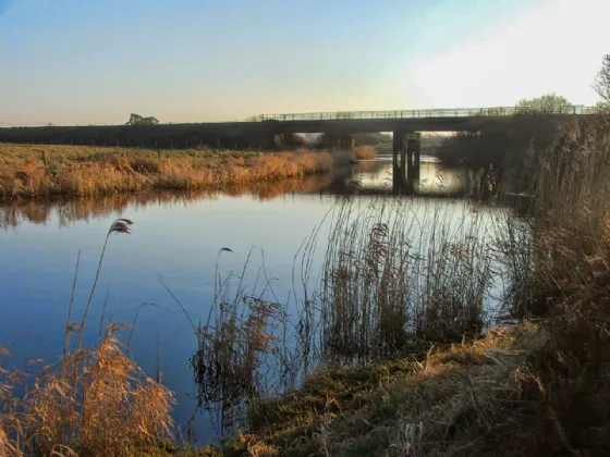 Photo of Culvin, Streete, Co. Westmeath, N91 YP27