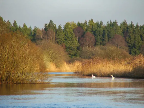Photo of Culvin, Streete, Co. Westmeath, N91 YP27