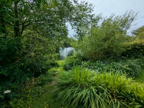 Photo of House With 2.94 Acres, Derrylahan, Louisburgh, Co Mayo, F28 F865