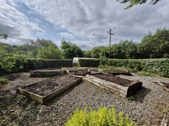 Photo of House With 2.94 Acres, Derrylahan, Louisburgh, Co Mayo, F28 F865