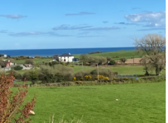 Photo of Ballina Upper, Blackwater, Co. Wexford, Y21 D772