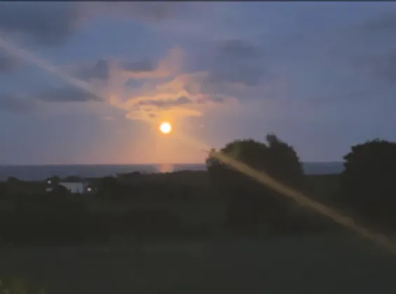 Photo of Ballina Upper, Blackwater, Co. Wexford, Y21 D772