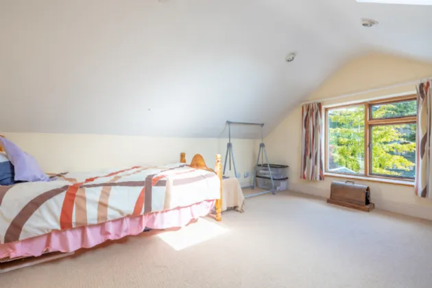 Photo of Acer Trees, Kilmacomma, Clonmel, Co. Waterford, E91 X051