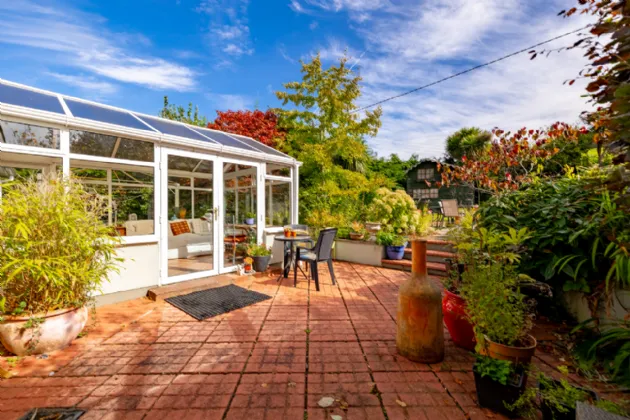 Photo of Acer Trees, Kilmacomma, Clonmel, Co. Waterford, E91 X051