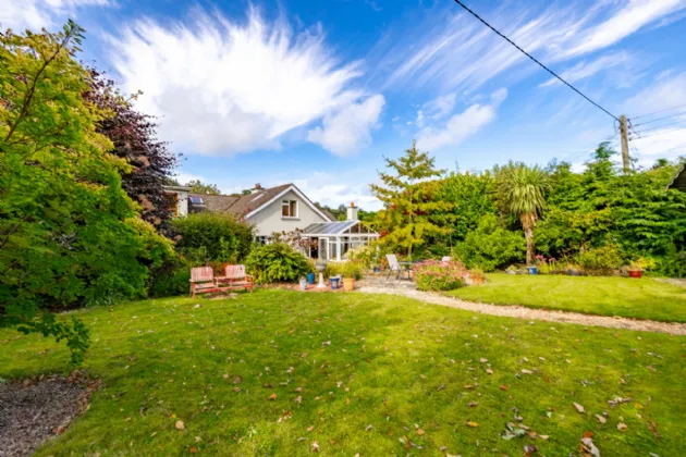 Photo of Acer Trees, Kilmacomma, Clonmel, Co. Waterford, E91 X051