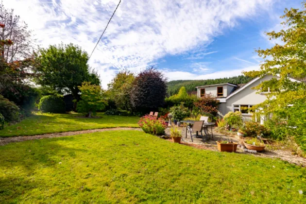 Photo of Acer Trees, Kilmacomma, Clonmel, Co. Waterford, E91 X051