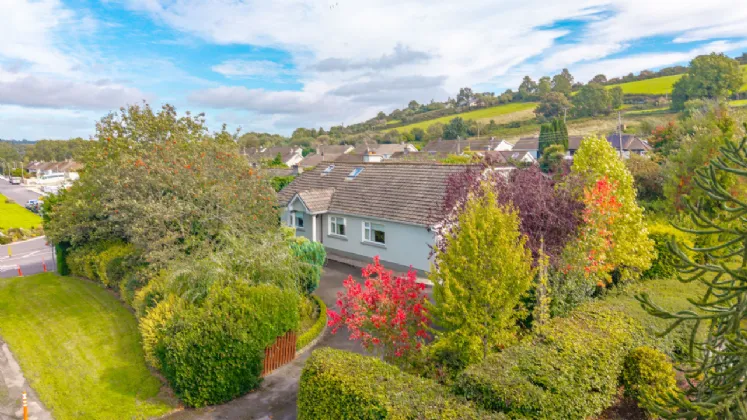 Photo of Acer Trees, Kilmacomma, Clonmel, Co. Waterford, E91 X051