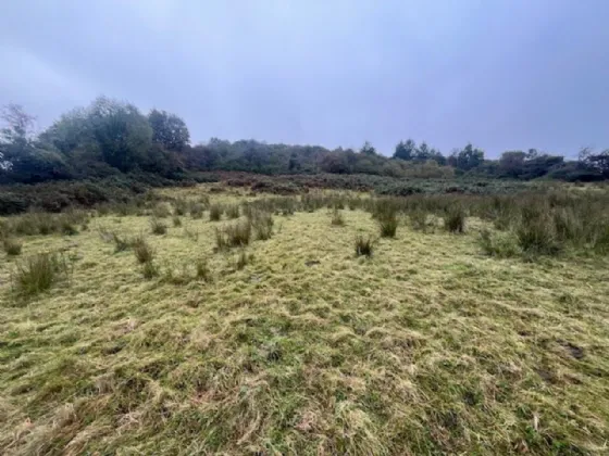 Photo of Bollingbrook, Dolla, Nenagh, Co. Tipperary