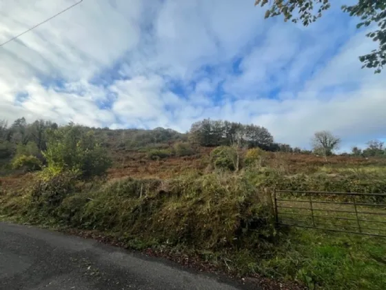 Photo of Bollingbrook, Dolla, Nenagh, Co. Tipperary