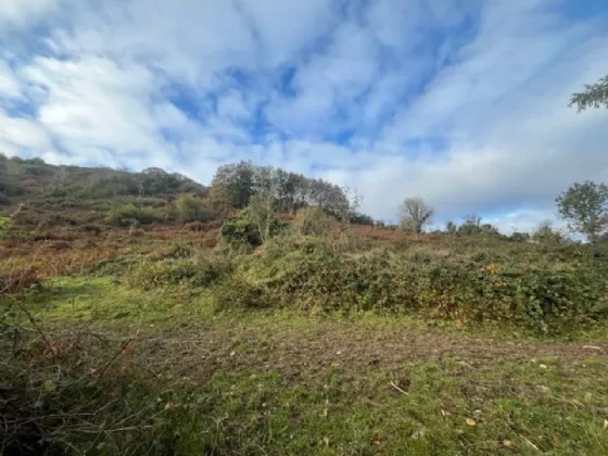 Photo of Bollingbrook, Dolla, Nenagh, Co. Tipperary