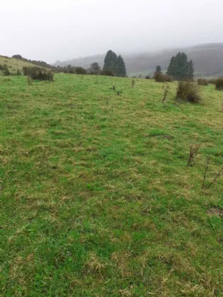 Photo of Bollingbrook, Dolla, Nenagh, Co. Tipperary