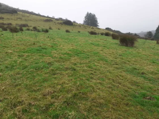 Photo of Bollingbrook, Dolla, Nenagh, Co. Tipperary