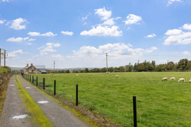 Photo of Ballynagrane,, Borris,, Co. Carlow, R95HD51