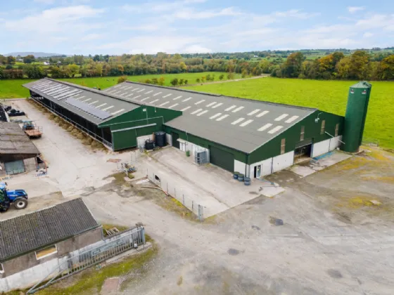 Photo of Lot 2 - Rockwell & Dogstown Farm, Approx. 219.8 Ha (543.1 Acres), Cashel, County Tipperary, E25 F886