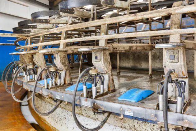 Photo of Lot 2 - Rockwell & Dogstown Farm, Approx. 219.8 Ha (543.1 Acres), Cashel, County Tipperary, E25 F886