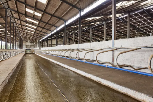 Photo of Lot 2 - Rockwell & Dogstown Farm, Approx. 219.8 Ha (543.1 Acres), Cashel, County Tipperary, E25 F886