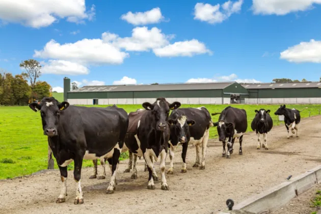 Photo of Lot 3 - Rockwell Farm (The Entire), Approx. 329.2 Ha (813.5 Acres), Cashel, County Tipperary, E25 F886