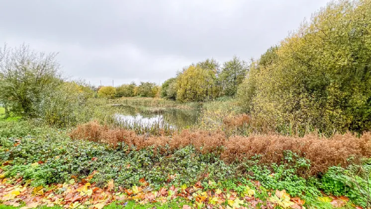 Photo of 65 Lakeview Drive, Lakeside, Kilkenny, R95 HY48