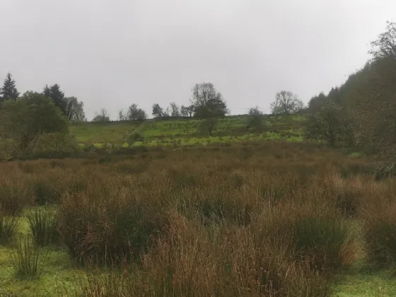 Photo of Tully, Manorhamilton, Co. Leitrim