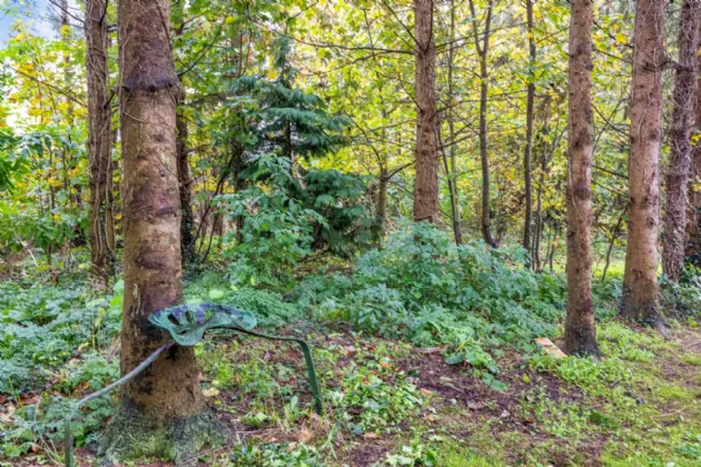 Photo of Moytulla, Athboy Road, Ballivor, Co Meath, C15 FR63