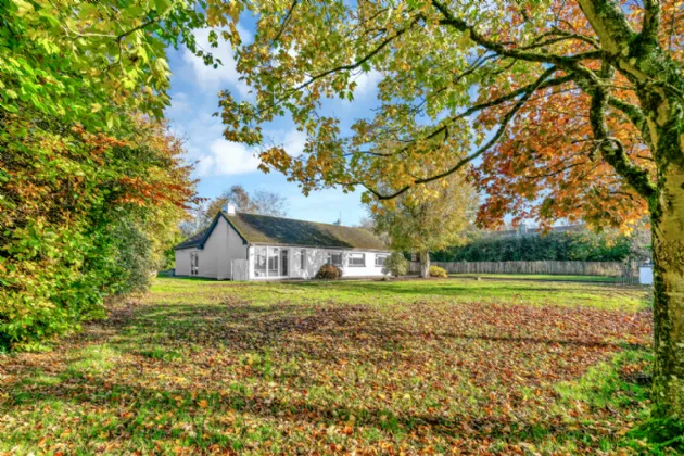 Photo of 'Ailleach', Tully East, Kildare, Co. Kildare, R51 VF85