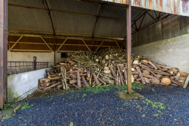 Photo of Collindale, Aghalustia, Ballaghderreen, Co. Roscommon, F45NX23