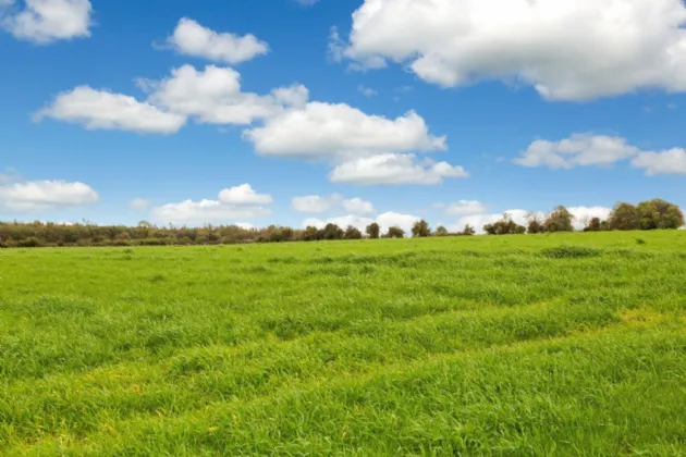 Photo of Lot 3 - Rockwell Farm (The Entire), Approx. 329.2 Ha (813.5 Acres), Cashel, County Tipperary, E25 F886