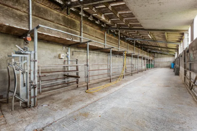 Photo of Lot 3 - Rockwell Farm (The Entire), Approx. 329.2 Ha (813.5 Acres), Cashel, County Tipperary, E25 F886