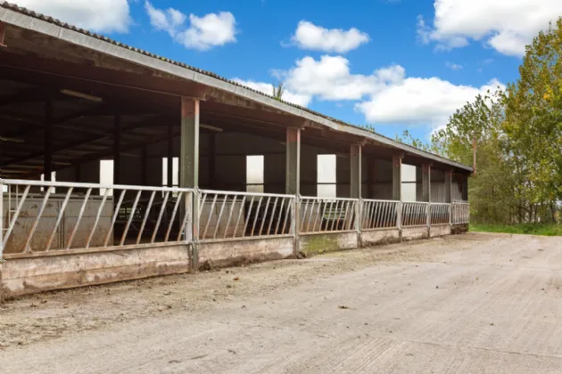 Photo of Lot 3 - Rockwell Farm (The Entire), Approx. 329.2 Ha (813.5 Acres), Cashel, County Tipperary, E25 F886