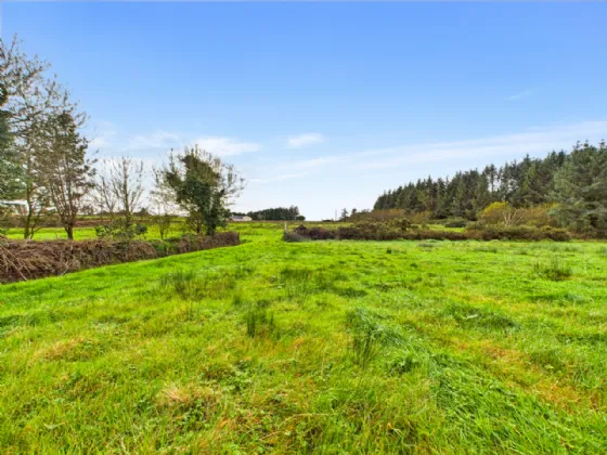 Photo of Tullycrine, Cooraclare, Kilrush, Co. Clare, V15 XD29