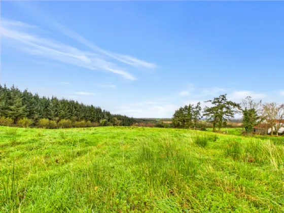 Photo of Tullycrine, Cooraclare, Kilrush, Co. Clare, V15 XD29