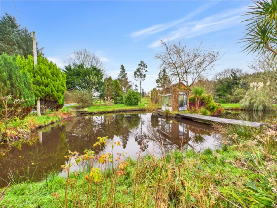 Photo of Tullycrine, Cooraclare, Kilrush, Co. Clare, V15 XD29