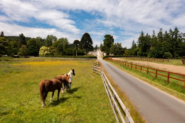 Photo of 3 Glanmore Castle, Devils Glen, Ashford, County Wicklow, A67 AH77
