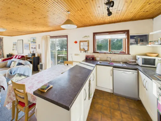 Photo of Dun Dagda, Garraunfada, Dromineer, Nenagh, Co. Tipperary, E45RT27