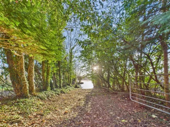 Photo of Dun Dagda, Garraunfada, Dromineer, Nenagh, Co. Tipperary, E45RT27