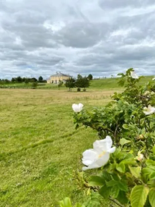 Photo of Lisheenaheltia Lodge, Lisheen, Glennamaddy, Co. Galway, F45 TX65
