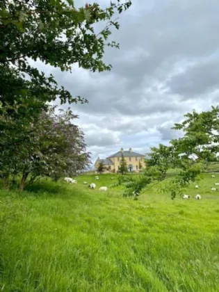 Photo of Lisheenaheltia Lodge, Lisheen, Glennamaddy, Co. Galway, F45 TX65