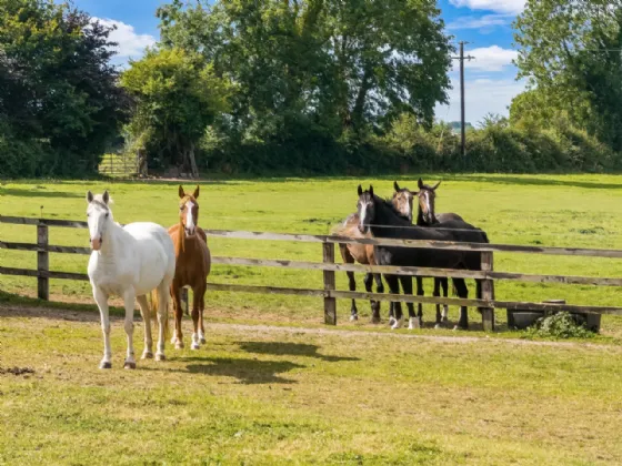 Photo of The Glebe House On 6.5 Acres, Painestown, Navan, Co Meath, C15 A0Y5