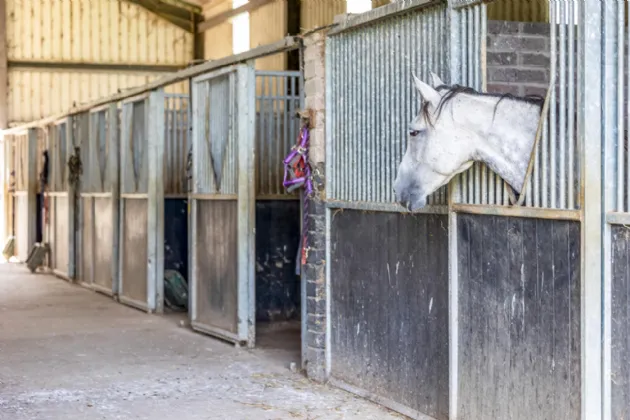 Photo of The Glebe House On 6.5 Acres, Painestown, Navan, Co Meath, C15 A0Y5