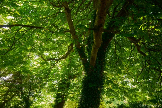 Photo of Ardeevin House, Beach, Bantry, County Cork, P75 PK20